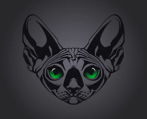 Detailní portrét kočky bez srsti Sfinga na černém pozadí. vektorové ilustrace — Stockový vektor