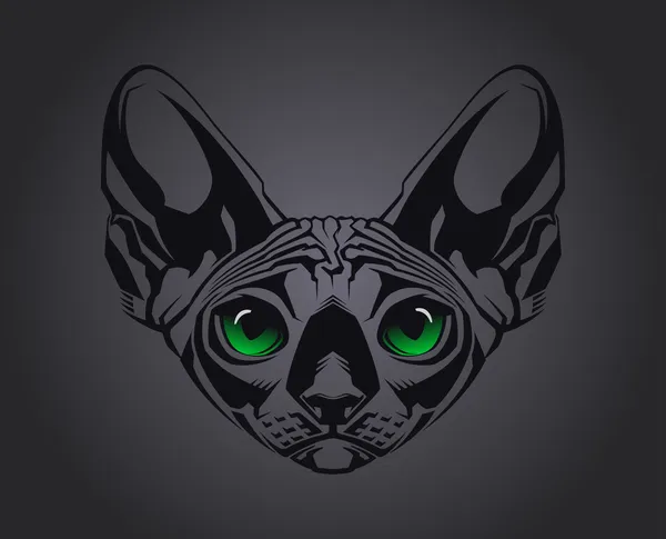 Retrato de cerca del gato sin pelo Esfinge sobre fondo negro. Ilustración vectorial — Vector de stock