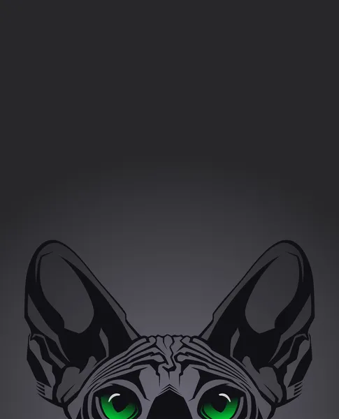 Retrato de cerca del gato sin pelo Esfinge sobre fondo negro. Ilustración vectorial — Vector de stock