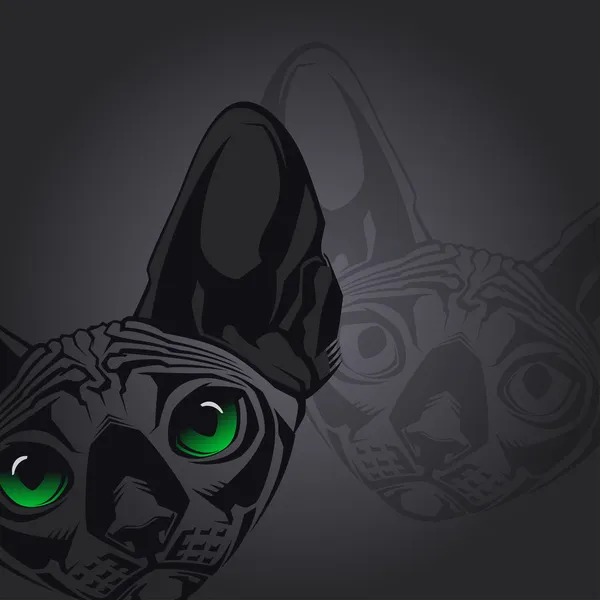Kopasz Szfinx macska fekete háttér közeli portréja. vektoros illusztráció — Stock Vector