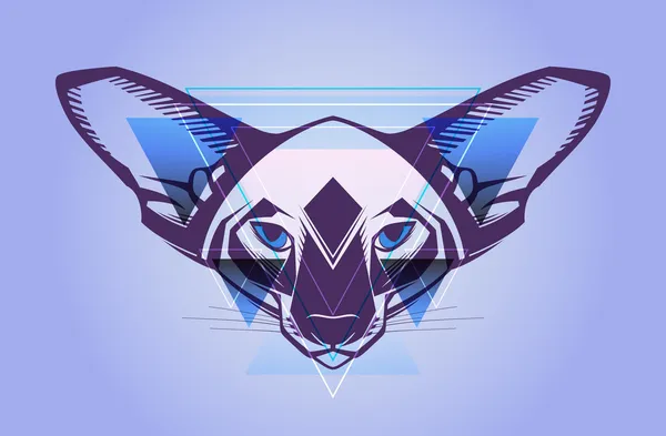 yaratıcı bir hippi tarzı bir kedi resmi