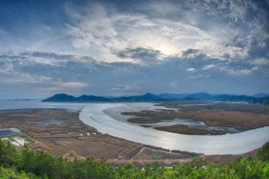 Suncheon bay balıkgözü