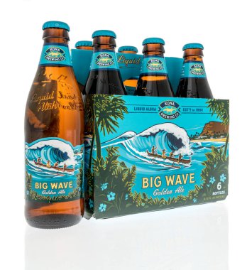 Winneconne, WI -30 Mart 2021: İzole edilmiş arka planda altı paket Aloha Kona büyük dalgalı altın bira