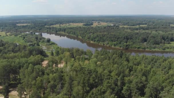 Kamera letí nad jehličnatým lesem směrem k řece — Stock video