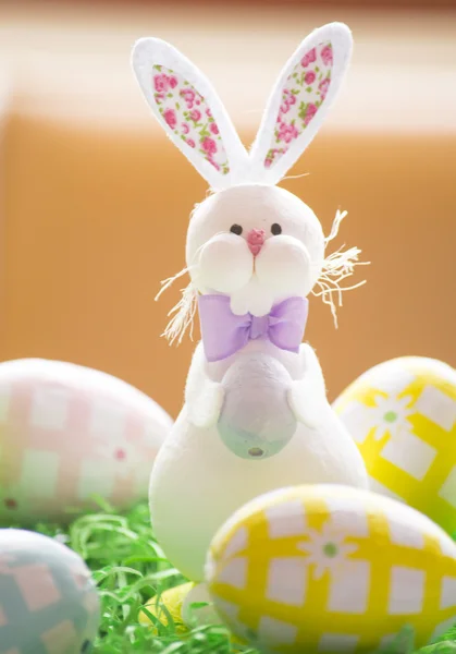 Східний кролик з яйцями — стокове фото