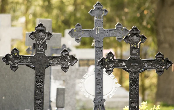 Cemitério com cruzes — Fotografia de Stock