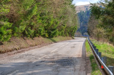 orman yolu