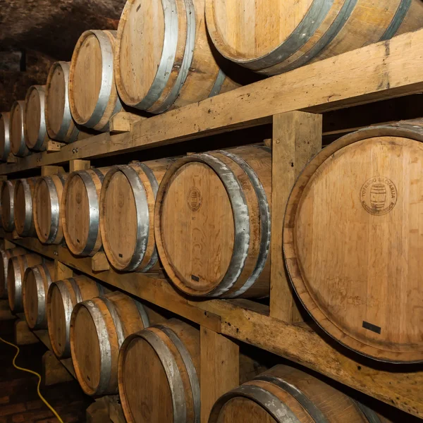 Old wine cellar in Ilok, Croatia — Stock Photo, Image