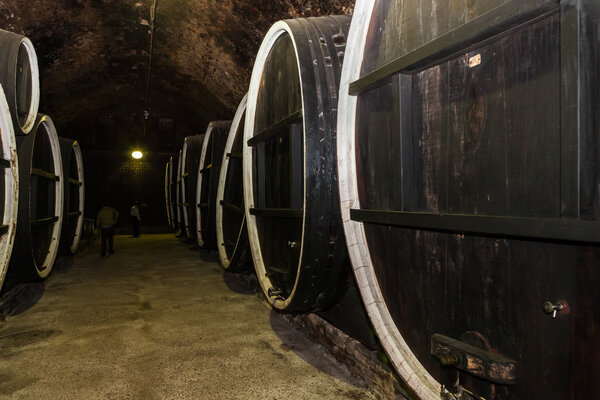 Old wine cellar in Ilok, Croatia