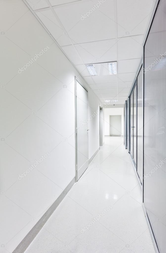 Modern white long corridor with glass doors on one side