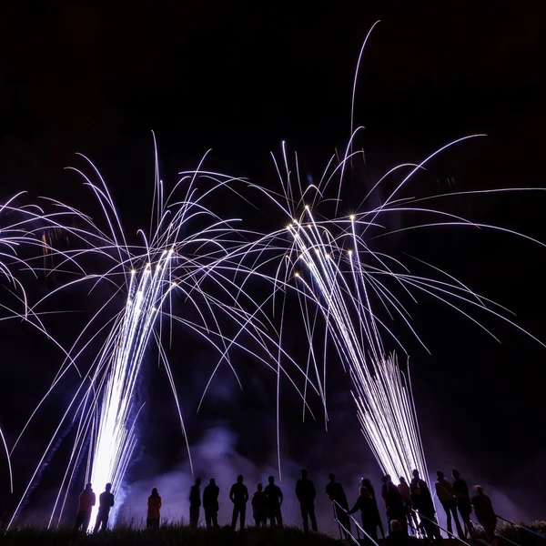 Hatalmas színes tűzijáték, szemben az éjszakai égbolton — Stock Fotó