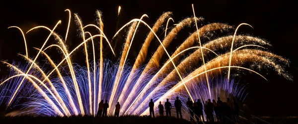 夜の空に対して巨大なカラフルな花火 — ストック写真