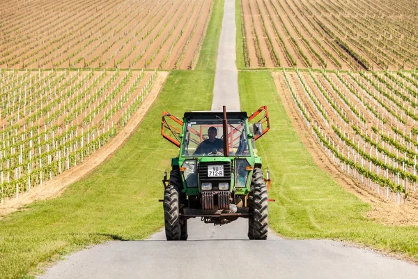 Agricultor trator de condução através da vinha perto de Ilok, Croácia — Fotografia de Stock