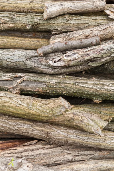 Pile of logs of firewood — Stock Photo, Image