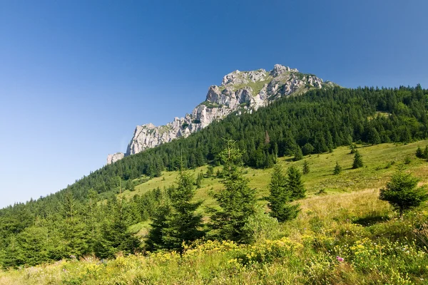 Pico pedregoso "Big Rozsutec" en Little Fatra hills - Eslovaquia - Europa Central —  Fotos de Stock