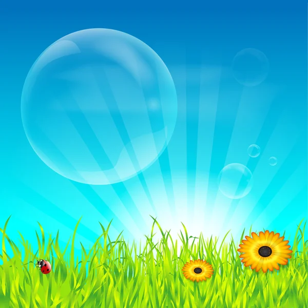 Prairie à fleurs printanières et bulles transparentes — Image vectorielle