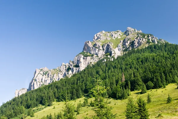 石质高峰"大 rozsutec"小 fatra 丘陵 — 图库照片