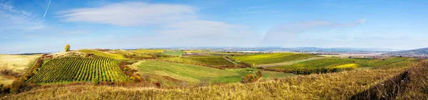 Niesamowite jesień krajobraz z winnic — Zdjęcie stockowe