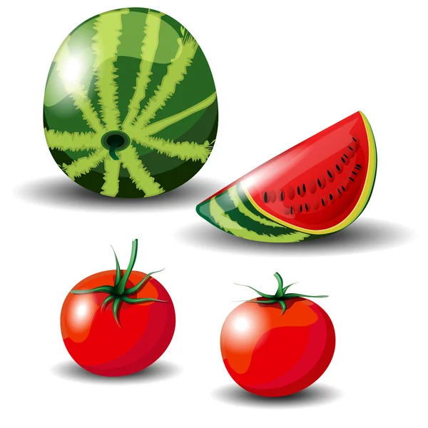 Melon and tomato — Stock Vector