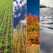 négy évszak a bannerek - tavaszi, nyári, őszi és téli
