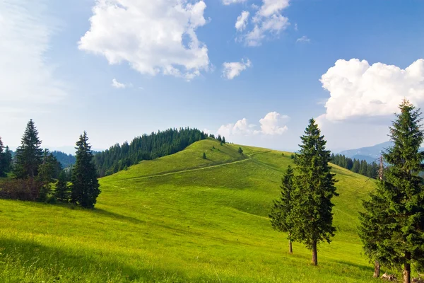 Fantastiska bergslandskapet - nationalparken större fatra, Slovakien, Europa — Stockfoto