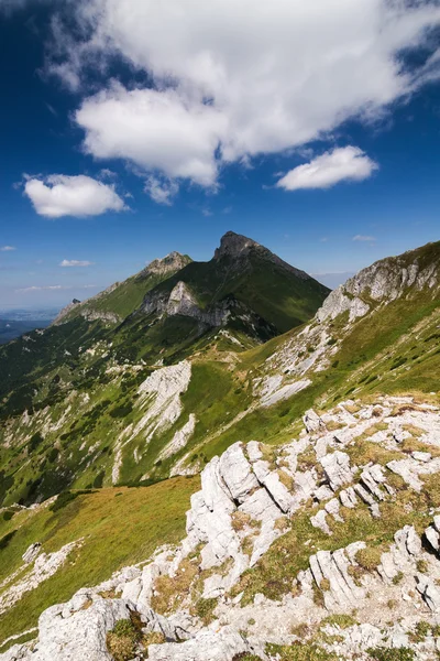Summer mountain ridge - High Tatras, Slovakia, Europe — Stock Photo, Image