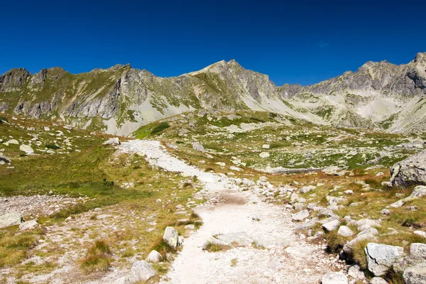 Summer mountains - High Tatras, Slovakia, Europe — Stock Photo, Image