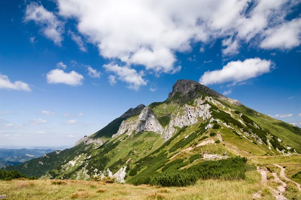 여름 산 능선-높은 tatras, 슬로바키아, 유럽 — 스톡 사진