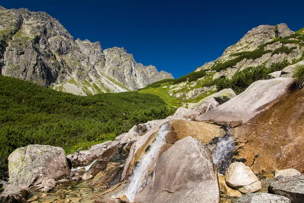山ストリーム - 高タトラ山脈、スロバキア、ヨーロッパ — ストック写真