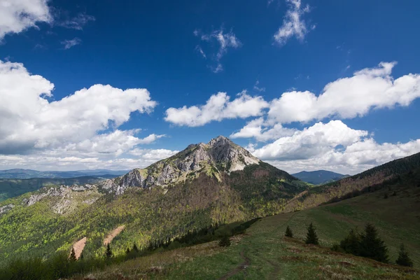 Wiosna gór - wielki rozsutec hill, mała fatra, Słowacja — Zdjęcie stockowe