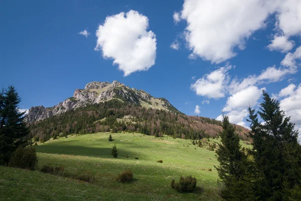 ภูเขาฤดูใบไม้ผลิ - ภูเขารอซูทช์บิ๊ก, Little Fatra, สโลวาเกีย — ภาพถ่ายสต็อก