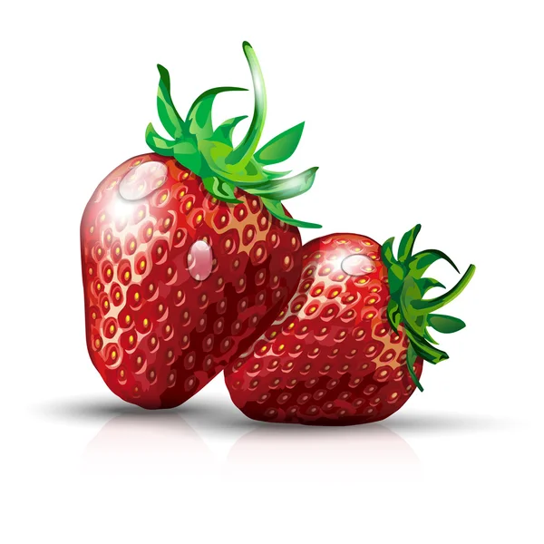 Deux fraises avec des gouttes d'eau — Image vectorielle