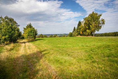 Yollu sonbahar manzarası, yeşil çayır, ağaçlar ve mavi bulutlu gökyüzü - Çek Cumhuriyeti, Avrupa