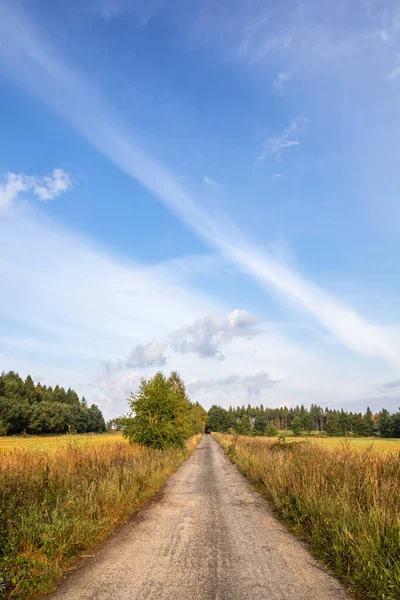Mavi gökyüzünün altındaki çayırlarla ormanlar arasında düz yol - Çek Cumhuriyeti, Avrupa