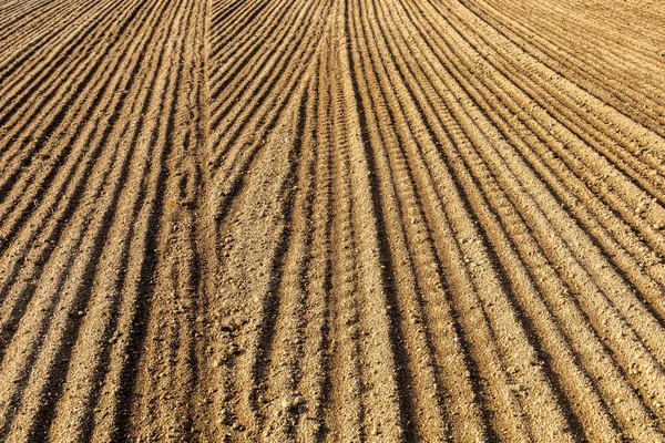 Detail Empty Field Lines Horizontal Agricultural Texture Background — Stock Photo, Image