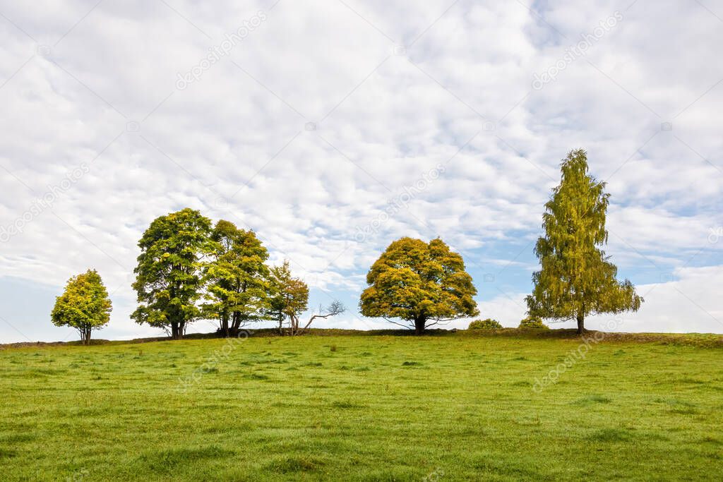 Autumnal landscape with green meadow, solitaire trees on horizon and blue sky with white clouds - Czech Republic, Europe