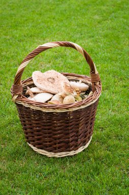 mantar ile hasır sepet