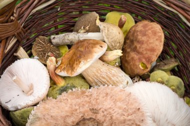 mantar ile hasır sepet