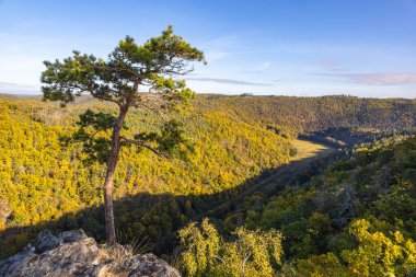 Vadi üzerinde ve mavi gökyüzünün altındaki sonbahar ormanları üzerinde kayalık bir bakış açısı - Çek Cumhuriyeti, Avrupa