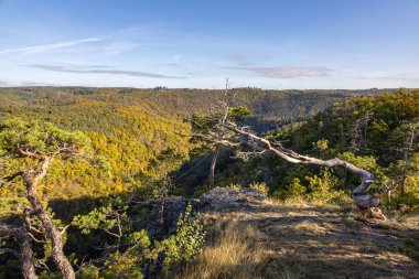Vadi ve mavi gökyüzünün altındaki sonbahar ormanlarına bakış açısı - Çek Cumhuriyeti, Avrupa