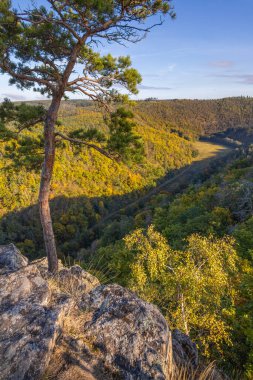 Vadi üzerinde ve mavi gökyüzünün altındaki sonbahar ormanları üzerinde kayalık bir bakış açısı - Çek Cumhuriyeti, Avrupa