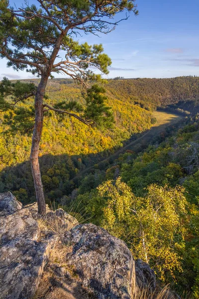 Vadi üzerinde ve mavi gökyüzünün altındaki sonbahar ormanları üzerinde kayalık bir bakış açısı - Çek Cumhuriyeti, Avrupa
