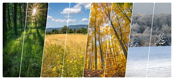 Cuatro Collage Temporada Con Motivos Naturales Todas Las Fotos Usadas —  Fotos de Stock