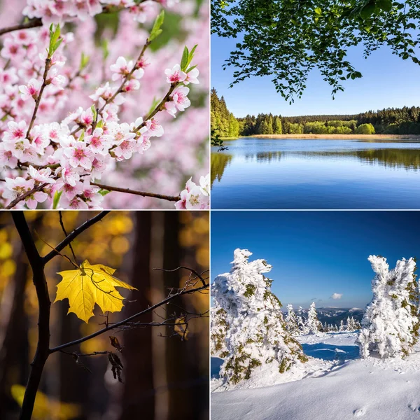 Colagem Quatro Estações Com Temas Naturais Todas Fotos Usadas Pertencem — Fotografia de Stock