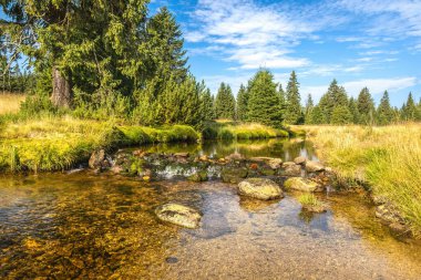 Beautiful scenery of summer landscape with creek and forest - Jizera Mountains, Czech Republic, Europe