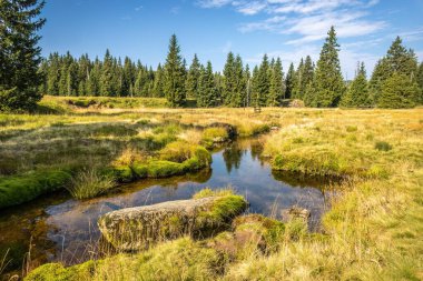 Amazing scenery of summer landscape with creek meanders - Jizera Mountains, Czech Republic, Europe