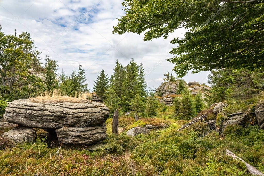 Summer mountain forest with granite stones - Jizera Mountains, Czech Republic, Europe