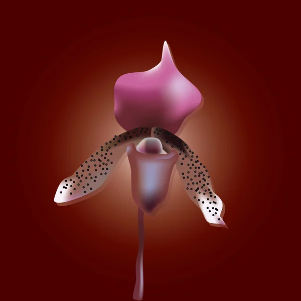 Orchideebloem eps10 — Stockvector