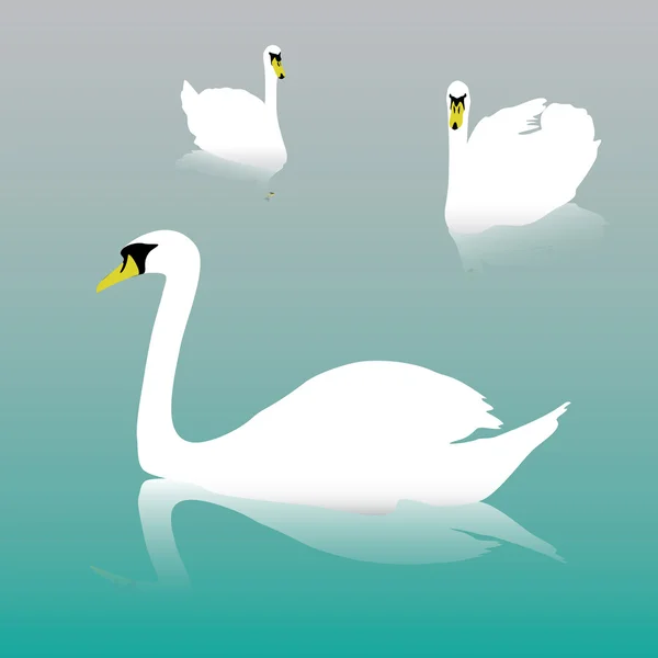 Cisne en el agua eps10 — Archivo Imágenes Vectoriales