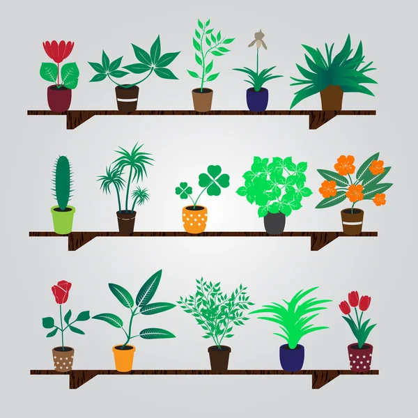 Zimmerpflanzen und Blumen im Topf im Regal eps10 — Stockvektor